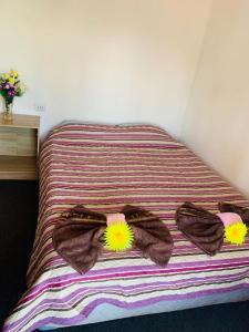a bed with two pairs of shoes on it at Hostal y Cabañas Pua Vaenga in Hanga Roa