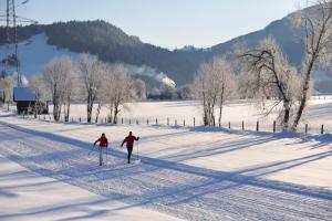 Mynd úr myndasafni af Pension Grafengut í Radstadt