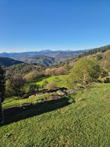 a view of a green field with mountains in the background at Cabane en Cévennes in Saint-Germain-de-Calberte