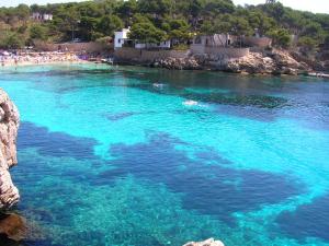 a group of people swimming in a body of water at Puerto de Cala Ratjada in Cala Ratjada
