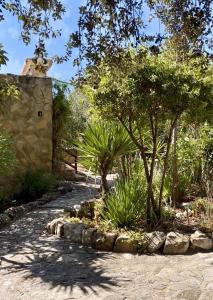 a garden with trees and a stone path at Cortijo Sol y Olivo spacious exclusive private pool retreat in Algarinejo
