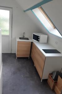 a kitchen with a sink and a microwave at Studio avec vu sur le Loir in La Flèche