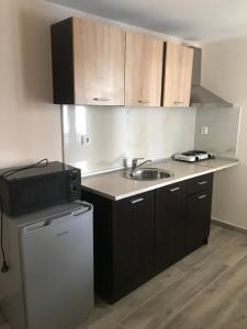 a small kitchen with a sink and a microwave at Maison de roche in Sozopoli