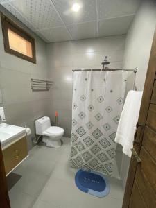 a bathroom with a shower curtain and a toilet at Diwan-e-Hunza Resort in Gulmit +15 photos
