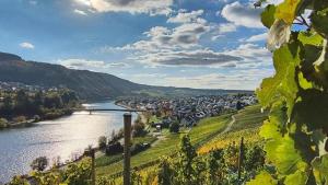 a view of a river with a town and a city at Ferienapartment Weber-Loskill in Mehring