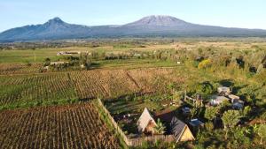 an aerial view of a farm with a mountain in the background at Amboseli Trails Cabin in Amboseli