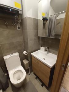 a bathroom with a toilet and a sink at Robezu apartments 14 in Riga +5 photos