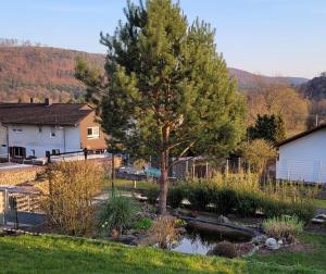 a garden with a tree and a pond at Ferienwohnung Amano in Fischbach