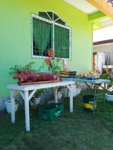 a large turkey sitting on a table in a yard at Hidden Valley Guest House in Malapascua Island