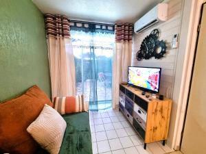a living room with a flat screen tv next to a window at Le TERMINUS in Saint-Cyprien-Plage
