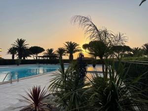 a pool with palm trees and a sunset in the background at Le TERMINUS in Saint-Cyprien-Plage