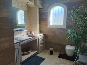 a bathroom with a sink and a toilet and two windows at Les murmures du jardin in Pégomas +24 photos