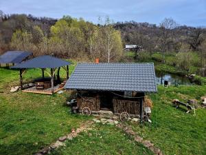 a small house with a roof on top of a field at Casa Hiru in Nucşoara