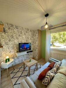 a living room with a couch and a tv at Le Nid du Petit-Quevilly in Le Petit-Quevilly