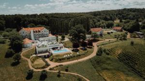 an aerial view of a house with a swimming pool at Das Eisenberg in Sankt Martin an der Raab