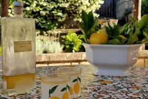 a bottle and two glasses on a table with a vase at Casa Vinaccia in Massa Lubrense