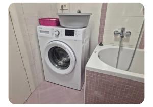 a bathroom with a washing machine and a sink at Apartma pri lovcu in Trzin