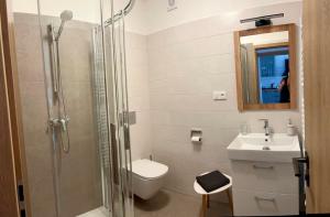 a bathroom with a shower and a toilet and a sink at Apartmán Blatka in Nová Pec +12 photos