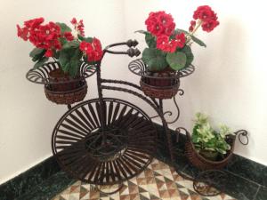 Fotografie z fotogalerie ubytování Hostal Aranda v destinaci Peñíscola