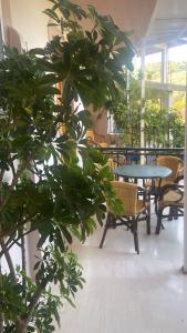 a plant in a room with tables and chairs at Hotel Marialena in Ancient Epidauros +25 photos