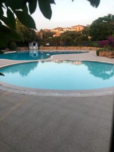 a large swimming pool with blue water at Smeralda 15 in Porto Rotondo +37 photos