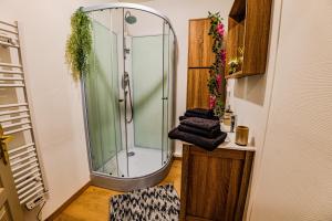 a bathroom with a shower with a glass shower at TEMPLE JACQUESSON - Gare - Centre ville - WIFI RAPIDE et STREAMING - PARKING GRATUIT - CHECK IN 24H - CLIMATISATION - IDEAL PROS - cour privée - barbecue in Chalons en Champagne +64 photos
