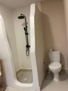 a bathroom with a toilet and a shower in it at Le petit Relais 1 in Andilana +20 photos