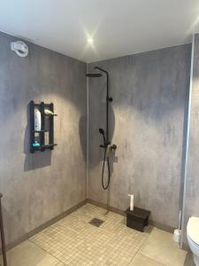 a bathroom with a shower and a toilet at Spacious seaside apartment with balcony in Sorreisa +4 photos