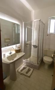 a bathroom with a shower and a sink and a toilet at Hotel Marialena in Ancient Epidauros