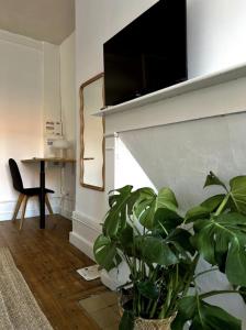 a living room with a plant and a tv on a wall at Charmants Appartements au coeur d'Arras in Arras