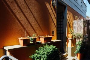 three potted plants sitting on a ledge on a building at Nestly house Portovenere in Portovenere
