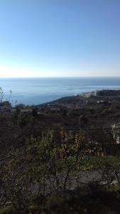 Příroda nedaleko prázdninového domu