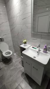 a bathroom with a white sink and a toilet at Green view apartman Pančevo in Pančevo +25 photos