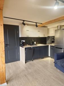 a kitchen with blue cabinets and a blue door at Dom Vladeasa in Rogojel