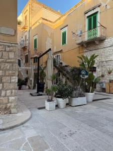 a group ofotted plants and a building with stairs at Virgin Mare in Giovinazzo