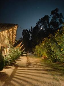 a dirt road at night with a building and trees at Crazzy Panda Hampi in Hampi