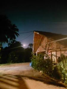 a house on the side of a road at night at Crazzy Panda Hampi in Hampi