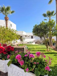 a group of flowers in a yard with palm trees at Sanmarcos 2 in Adeje