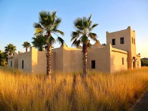 a building with two palm trees in a field at Palais Nova in Marrakesh
