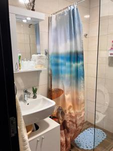 a bathroom with a shower curtain and a sink at Dionis in Veliko Gradište +11 photos