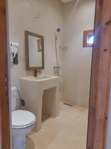 a bathroom with a toilet and a sink and a mirror at Riad NACIRIA in Aït Ourir +31 photos