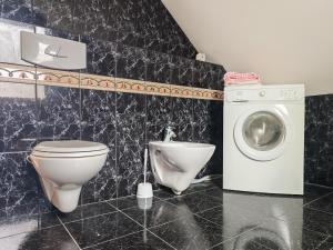 a bathroom with a toilet and a washing machine at Dorupes House in Liepāja +23 photos