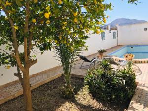 an orange tree next to a swimming pool at Villa Adan in Sidi Salah