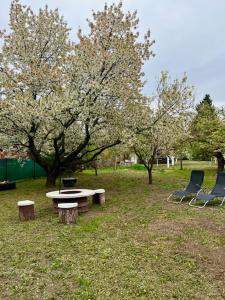 two chairs and a table in a park with trees at Demeter Vendégház in Tiszanána
