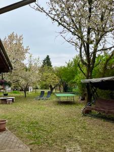 a picnic table and chairs in a yard at Demeter Vendégház in Tiszanána