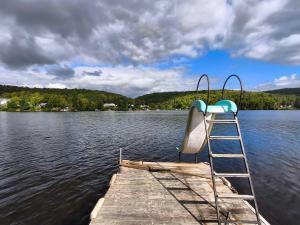 a ladder and a boat on a dock on a lake at Waterfront with Spa - Etoile Filante in Saint Zenon