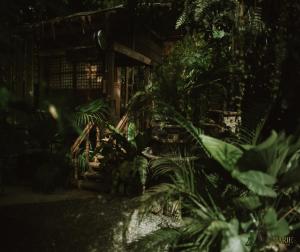 a room filled with lots of plants at night at Zen Marie Tanay in Sampong