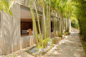 a row of palm trees in front of a building at Premier motel in Bushenyi