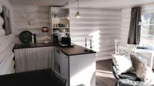 eine Küche mit Arbeitsplatte und Spüle in einem Zimmer in der Unterkunft Vildstugan in Björksjön