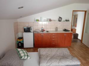 a small kitchen with a sink and a refrigerator at Ubytování v RV in Teplice nad Metují